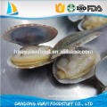 frozen boiled yellow short necked clam on time delivery